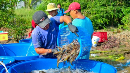 Hai nút thắt cần gỡ để xuất khẩu thủy sản bứt phá
