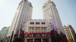 Nhiều tồn tại trong việc quản lý đất đai tại Tổng Công ty Sông Đà