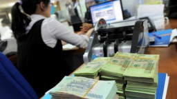 TP. HCM: Ngành thuế sẽ tổ chức hỗ trợ quyết toán thuế thu nhập cá nhân vào giữa tháng 3