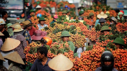 ‘Làm thương hiệu không phải là việc vẽ ra cái logo, câu khẩu hiệu rồi đem quảng cáo’