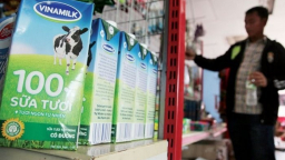 2 tháng đầu năm, doanh thu Vinamilk tăng trưởng 2 chữ số