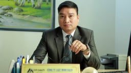 'Công ty bất động sản Sài Gòn Anpha có dấu hiệu giúp sức cho Phan Sào Nam rửa tiền'