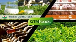 GTNFoods chi nửa nghìn tỷ lập công ty con, xuất hiện thêm hai cổ đông lớn