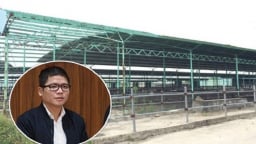 Con trai ông Trần Bắc Hà bị khởi tố