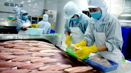 Cá tra Việt Nam 'rộng cửa' tại Trung Quốc, sản phẩm lên 'sàn' Alibaba