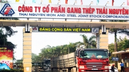 Gang thép Thái Nguyên có nguy cơ phá sản