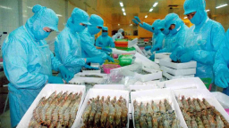 Mỹ gây 'sốc' khi áp thuế bán phá giá 0% với tôm Việt Nam