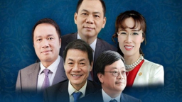 Các tỷ phú USD người Việt nhận lương bao nhiêu?