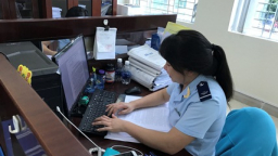 Hải quan Quảng Nam thu ngân sách tăng hơn 27%