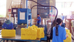 Xuất khẩu cao su tự nhiên có được hoàn thuế?