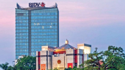 BIDV sẽ tái cấu trúc sở hữu vốn tại BIDV-MetLife, VRB, VALC