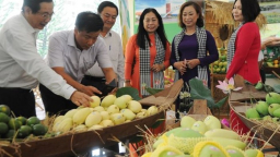Xuất khẩu rau quả sang Trung Quốc: Sụt giảm sau nhiều năm tăng trưởng