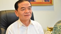 ‘Chắc chắn phải có bảo kê thì Nhật Cường mới lộng hành như vậy’
