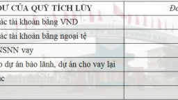 Ứng ra 97 triệu USD trả nợ 'thay' cho dự án đắp chiếu