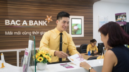 Công ty CP Chứng khoán VNDIRECT mua vào 500 tỷ đồng trái phiếu Bắc Á Bank