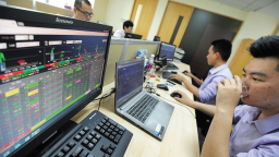 Cổ phiếu vốn hóa lớn tại Việt Nam dưới góc nhìn P/E