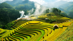 Giải pháp phát triển mô hình liên kết chuỗi cung ứng ngành du lịch