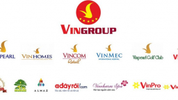 Tập đoàn SK đã mua xong cổ phần VinGroup