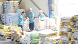 Nhà đầu tư không mặn mà với cổ phiếu ngành gạo