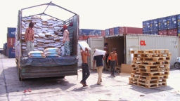 Tranh chấp hợp đồng mua bán ngoại thương: Doanh nghiệp thờ ơ