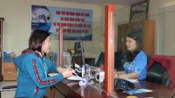 Quảng Nam công khai danh sách 7 doanh nghiệp nợ thuế