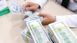 'Nguồn cung USD trong nước bớt dồi dào, khó có thể liên tục mua USD cho dự trữ ngoại hối'