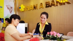 Nam A Bank nói gì về ‘lùm xùm’ khởi tố?