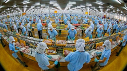 Hơn 70% doanh nghiệp dân doanh Việt Nam 'mù thông tin' về CPTPP và EVFTA
