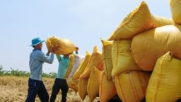 Xuất khẩu gạo 4 tháng đầu năm đạt hơn 1 tỷ USD