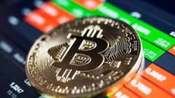 Bitcoin giảm thêm 5%, nhà đầu tư hoang mang