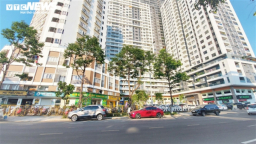 Đà Nẵng thu hồi giấy phép kinh doanh hoạt động dịch vụ tại Monarchy