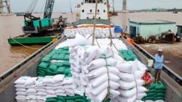 Đầu năm 2022, xuất khẩu gạo bật tăng mạnh
