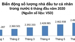 Thị trường Chứng khoán Việt Nam: Sự sợ hãi và cú lừa ngoạn mục