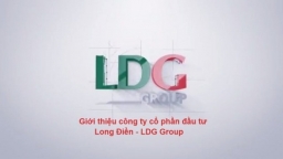Đồng Nai: LDG Group và nhiều doanh nghiệp bị cưỡng chế tiền thuế từ tài khoản