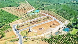 Công an tỉnh Lâm Đồng vào cuộc điều tra vụ phân lô bán đất nông nghiệp ở Bảo Lộc