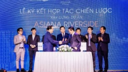 Tập đoàn Xây dựng Hòa Bình hợp tác với Gotec Land làm dự án Asiana Riverside