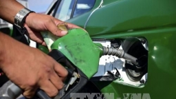 EU áp thuế chống trợ giá đối với dầu diesel sinh học Indonesia
