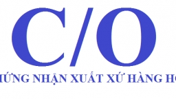 Tăng cường chống gian lận xuất xứ, lẩn tránh thuế