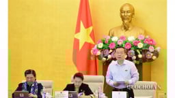 'Không cần ban hành Nghị quyết của Quốc hội về quản lý và sử dụng nguồn thu từ CPH, thoái vốn nhà nước'