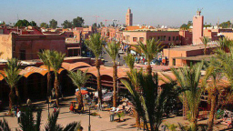 'Doanh nghiệp xuất khẩu Việt Nam cần thận trọng trong giao dịch với Công ty Maroc'