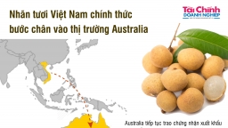 Nhãn tươi Việt Nam chính thức bước chân vào thị trường Australia