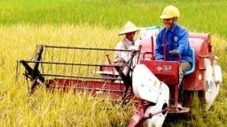 Xây dựng mô hình phát triển nông nghiệp hiện đại ở tỉnh Hải Dương