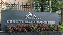 Hàng loạt vi phạm tại Công ty Giầy Thượng Đình?
