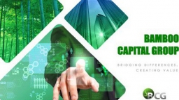 Bamboo Capital phát hành riêng lẻ 900 tỷ đồng trái phiếu chuyển đổi