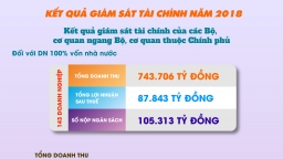 Bức tranh toàn cảnh về tài chính DNNN Trung ương năm 2018