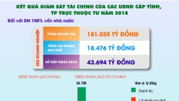 Kết quả giám sát tài chính của các UBND cấp tỉnh, TP trực thuộc Trung Ương năm 2018