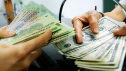 Chính phủ sửa quy định sau vụ 'đổi 100 USD bị phạt 90 triệu đồng'