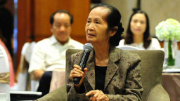 Bà Phạm Chi Lan: Tăng thuế để hạn chế dân chuyển vào Hà Nội, TP.HCM là 'không công bằng, dễ tạo tiền lệ xấu'