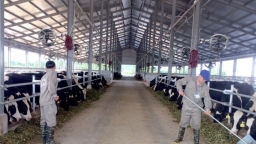 TH True Milk sẽ xây dựng dự án bò sữa và chế biến sữa tại Quảng Ninh