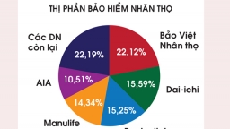 Doanh thu phí bảo hiểm năm 2019 tăng 20,5% so với năm 2018